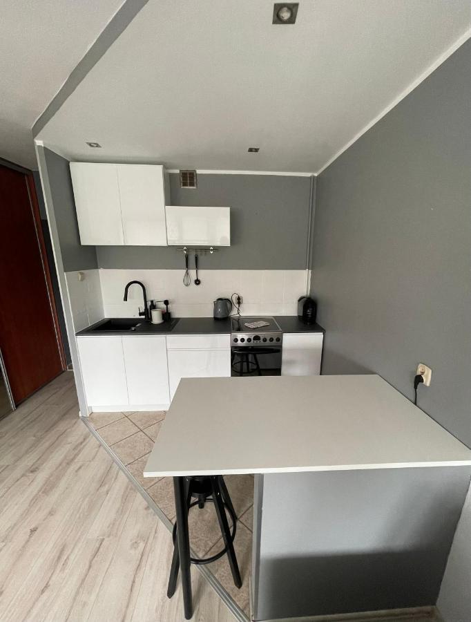 City Center Apartment Katowice Ngoại thất bức ảnh